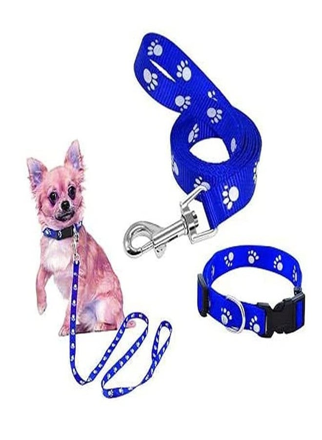 Pups&Pets Nylon Paw Print 10MM Collar Set for Puppies and Cats, Blue - 10MM Small Size - Image 5